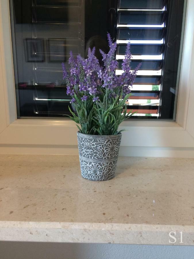 Apartamento Morus Alba Split Exterior foto